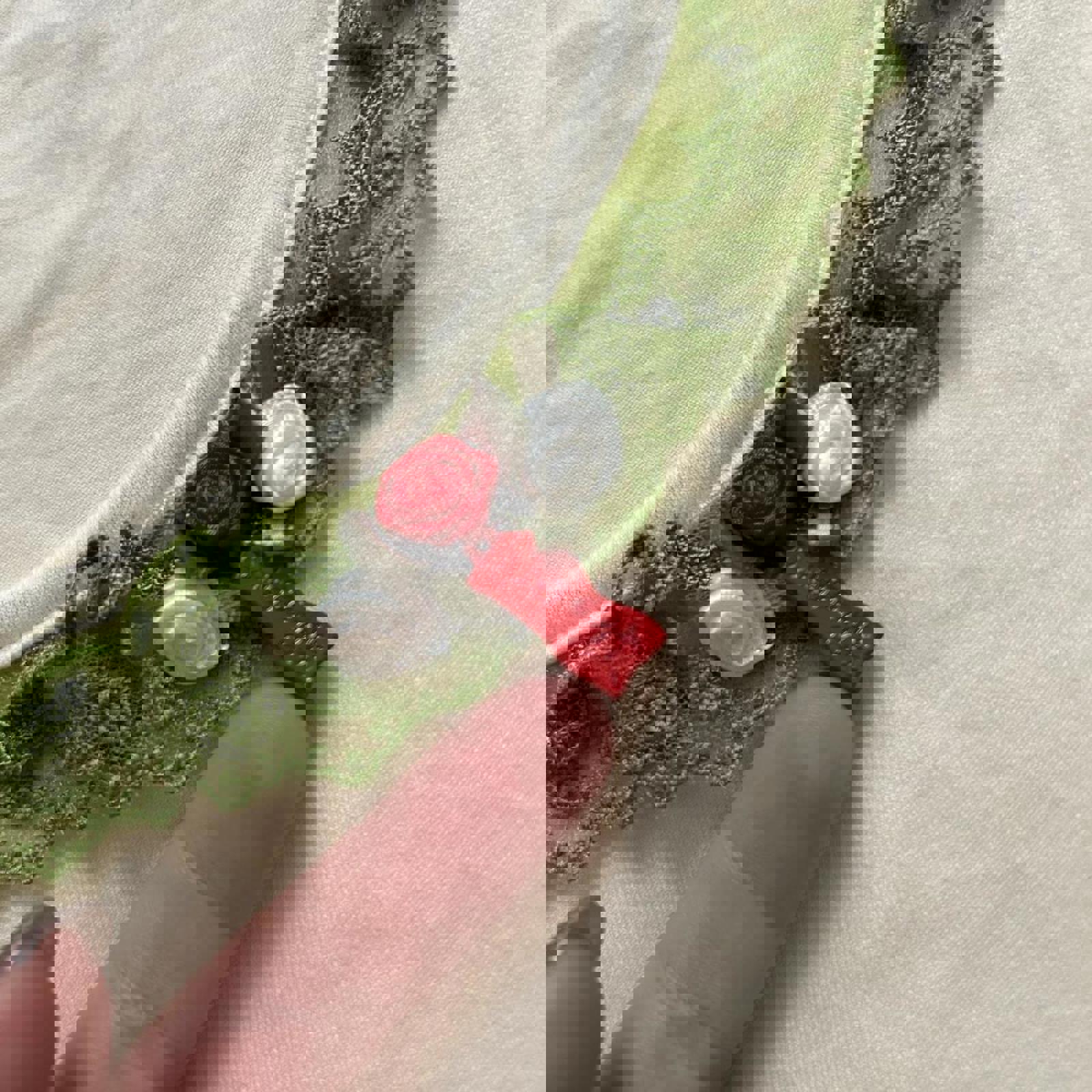 Emily Temple Cute Cream and green lace trim top with red charm detail